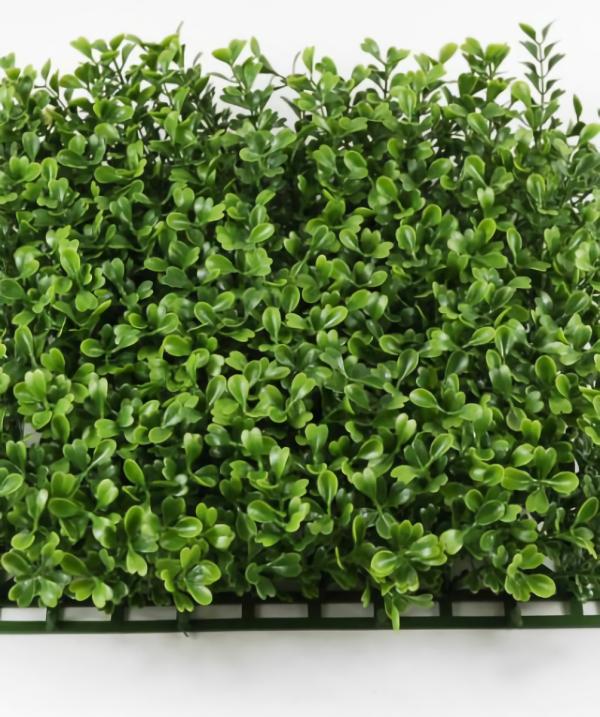 Boxwood, Hops | Artificial Boxwood Mat 10X10 Interlocking Botanicals Boxwood, Hops