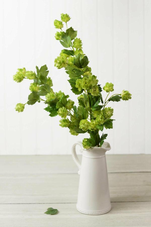 Boxwood, Hops | Blooming Hops Spray 39" Botanicals Boxwood, Hops