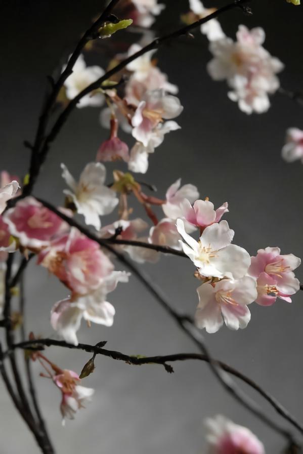 Branches | Hanging Cherry Blossom Branch Pink 58" Branches Branches