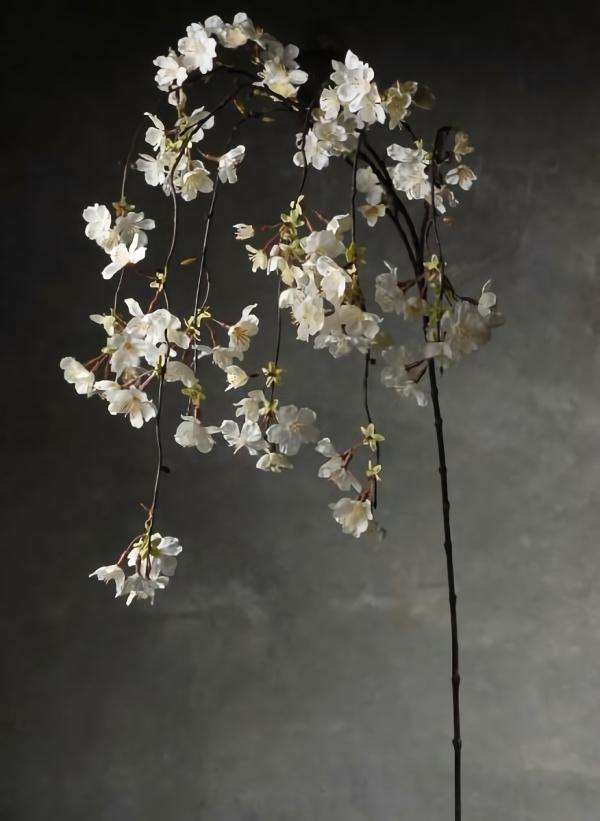 Branches | Hanging Cherry Blossom Branch White 58" Branches Branches