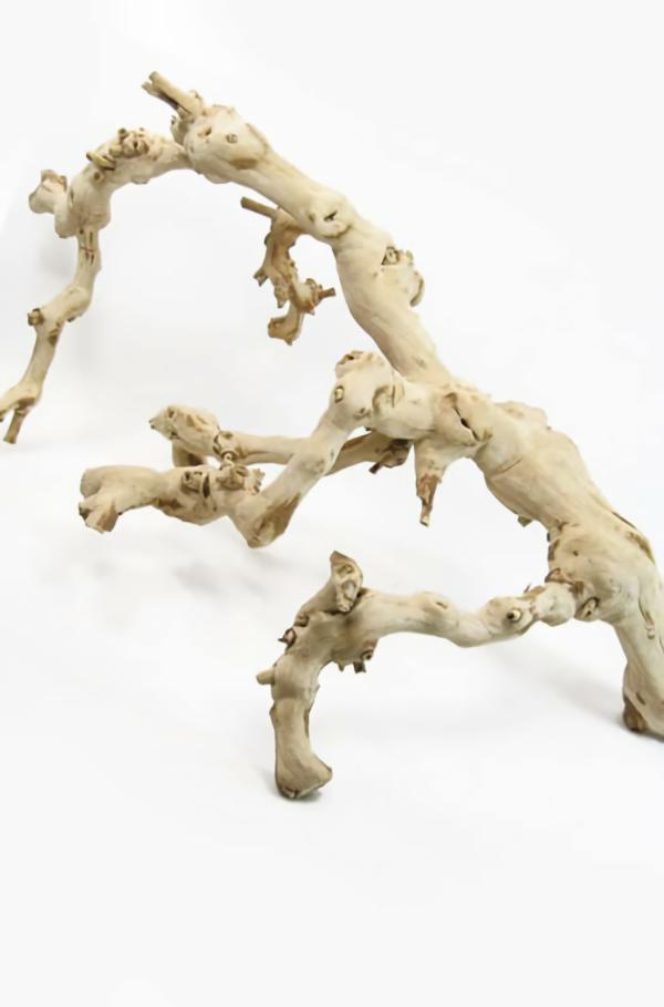 Branches | Natural Grapewood Branch 18In Sandblasted Branches Branches