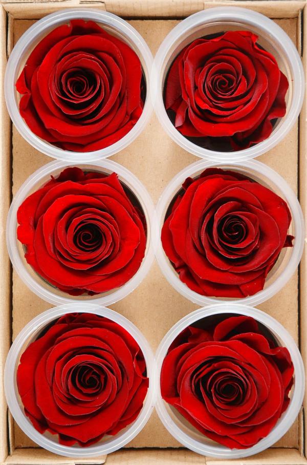 Corsage & Bouttenieres | Preserved Roses Red 2.5In (Pack Of 6) Corsage & Bouttenieres Corsage & Bouttenieres