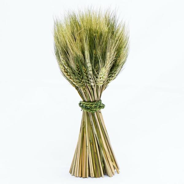 Corsage & Bouttenieres | Preserved Stand Up Wheat Bundle Set Of 16 Corsage & Bouttenieres Corsage & Bouttenieres