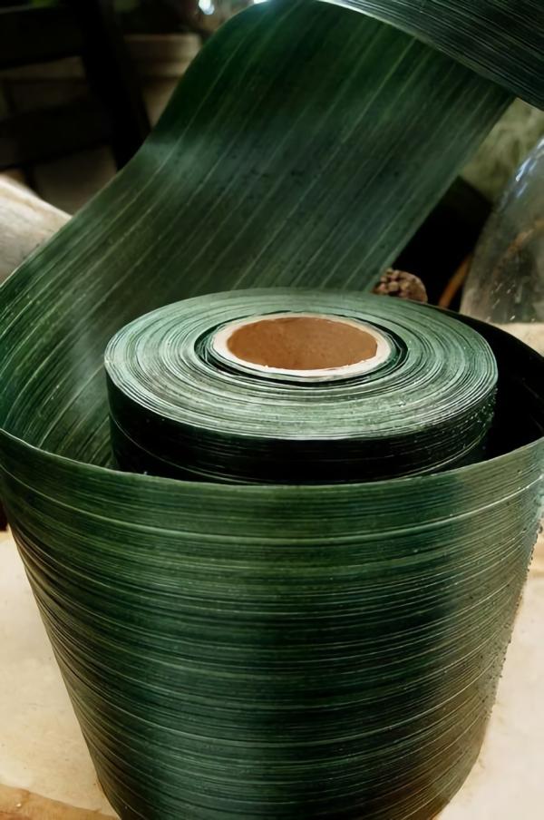 Fabric & Ribbon | Variegated Aspidistra Leaf Floral Ribbon 4In X 50Yds Dark Green Crafts Fabric & Ribbon