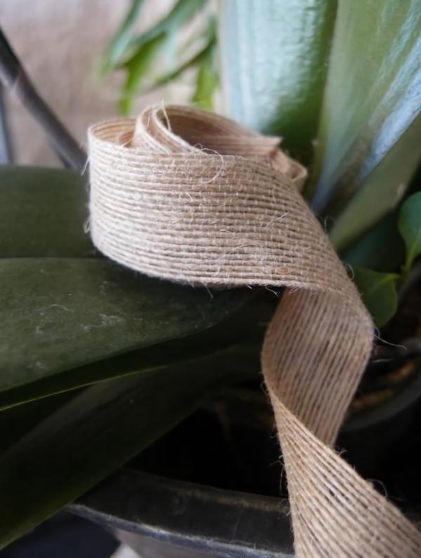 Fabric & Ribbon | Natural Jute Ribbon 1.5" X 10Yds Burlap Burlap