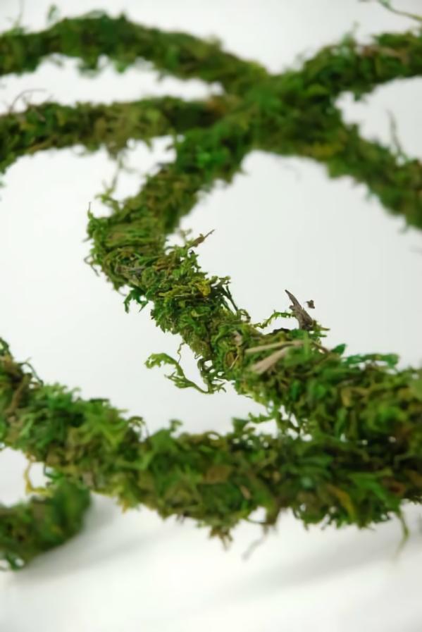 Garlands | Natural Moss Vine Preserved 12Ft Garlands Garlands