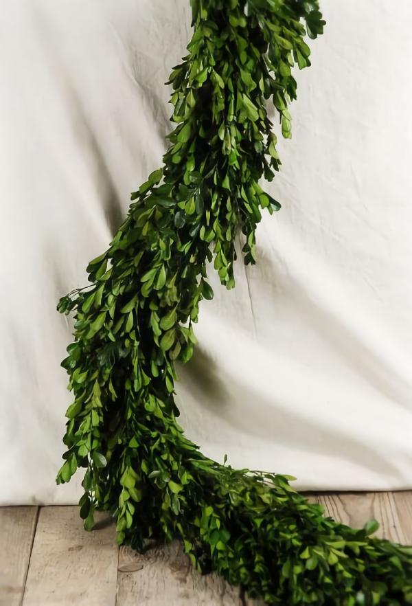 Garlands | Natural Preserved Boxwood Garland 45" Garlands Garlands