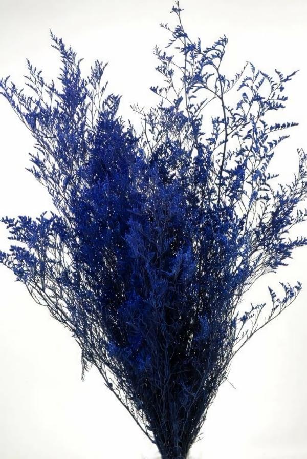 Gyp, Baby’s Breath, Caspia | Preserved Dyed Caspia 8Oz Cobalt Blue Botanicals Gyp, Baby's Breath, Caspia