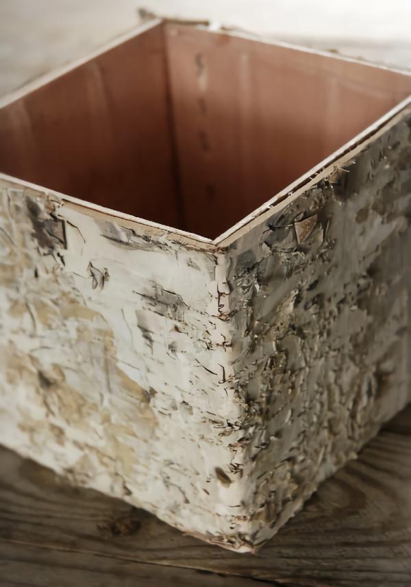 Pots & Planters | Birch Bark Square Pot W/Liner 4.5X5 Naturals & Florals Pots & Planters