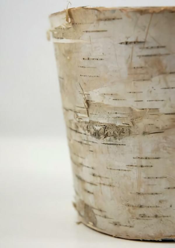 Pots & Planters | Natural Birch Bark Covered Zinc Planter Vase 5.5" X 5" Naturals & Florals Pots & Planters