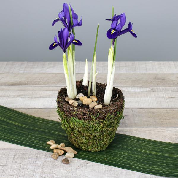 Pots & Planters | Moss And Wicker Planter Round 5" Naturals & Florals Pots & Planters