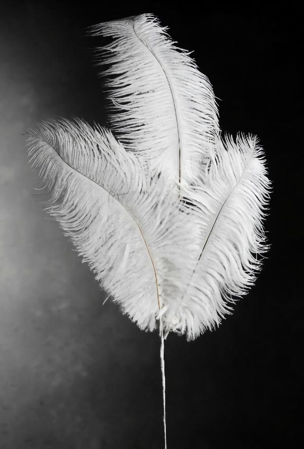 Stemmed | 3 White Ostrich Feathers On Wire Stem Flowers Stemmed