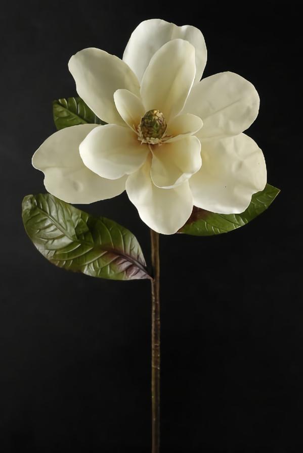 Stemmed | Deluxe Silk Magnolia Spray 34" Flowers Stemmed