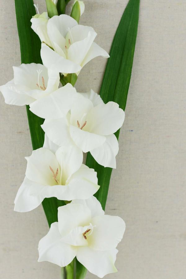 Stemmed | Gladiolus Flower Spray Cream White 33" Flowers Stemmed