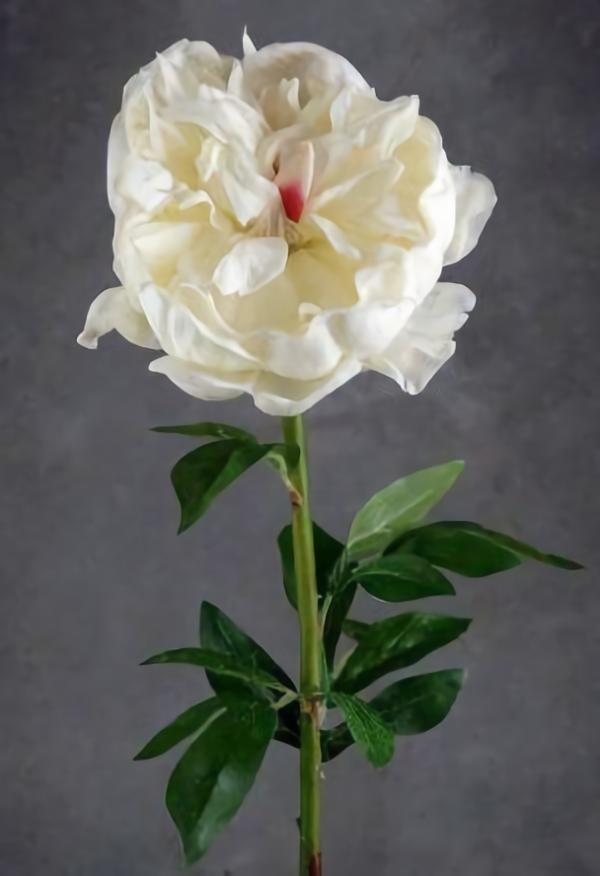 Stemmed | Natural Touch Large Cream White Peony Flower Flowers Stemmed