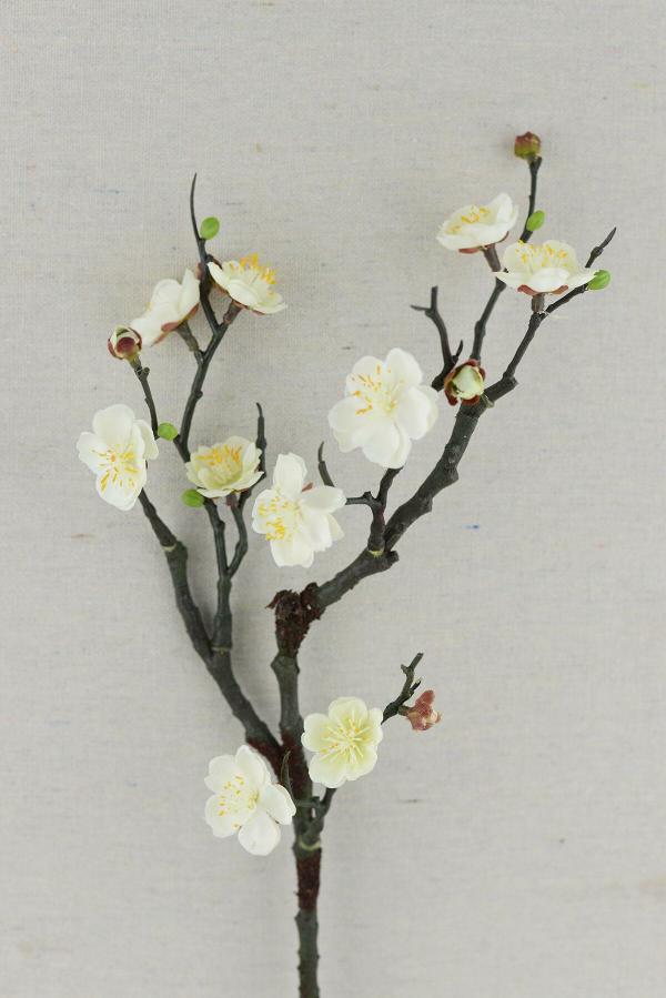 Stemmed | Plum Blossom Branch Cream Flowers 18" Flowers Stemmed