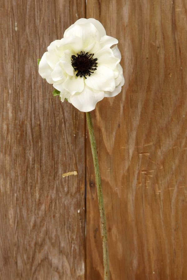 Stemmed | White Anemone Flower 15" Flowers Stemmed