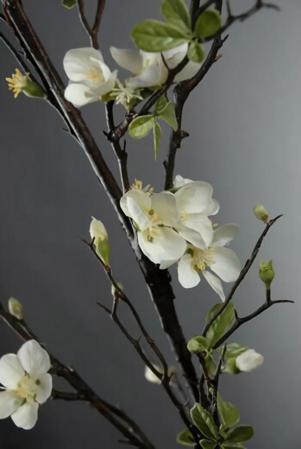 Stemmed | White Cherry Blossom Branch 57" Flowers Stemmed