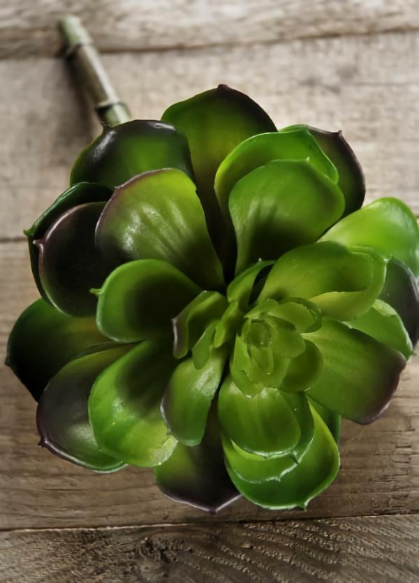 Succulents | Faux Echeveria Succulent 8" Green/Burgundy-Tipped Naturals & Florals Succulents