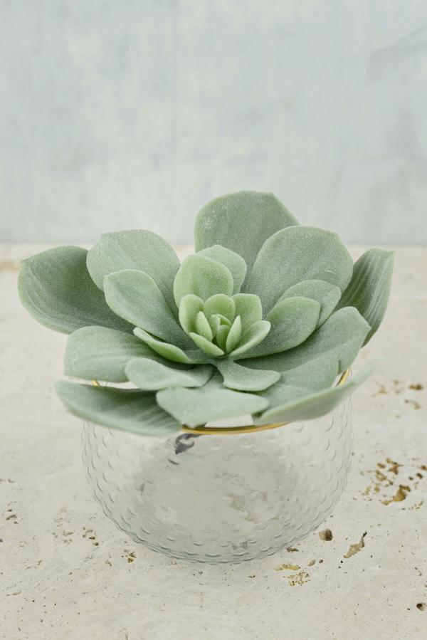 Succulents | Frosted Green Echeveria Pick 4.5"X7" Natural Touch Naturals & Florals Succulents