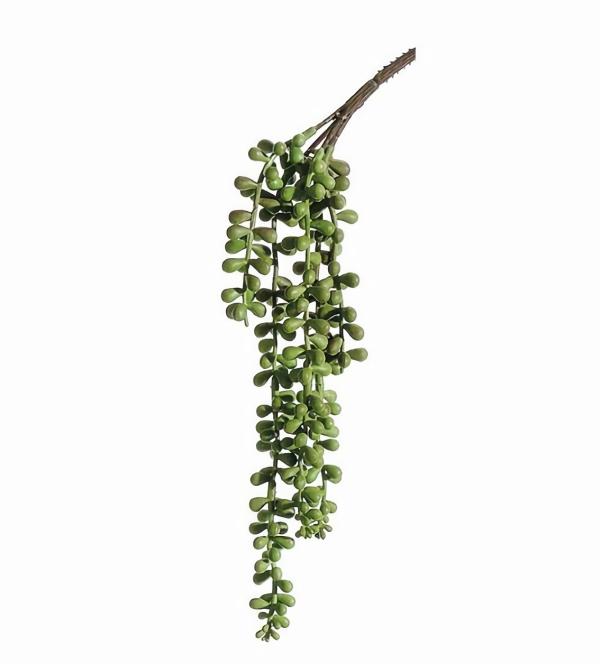 Succulents | Hanging Succulent Pearl Spray 13" Soft Touch Naturals & Florals Succulents