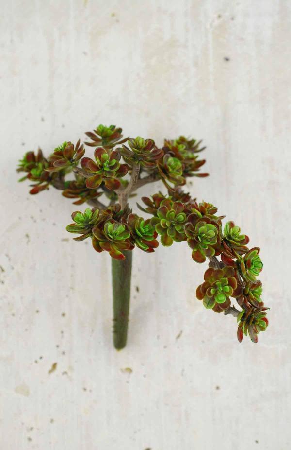 Succulents | Sedum Succulent Pick Burgundy/Green 5" Naturals & Florals Succulents