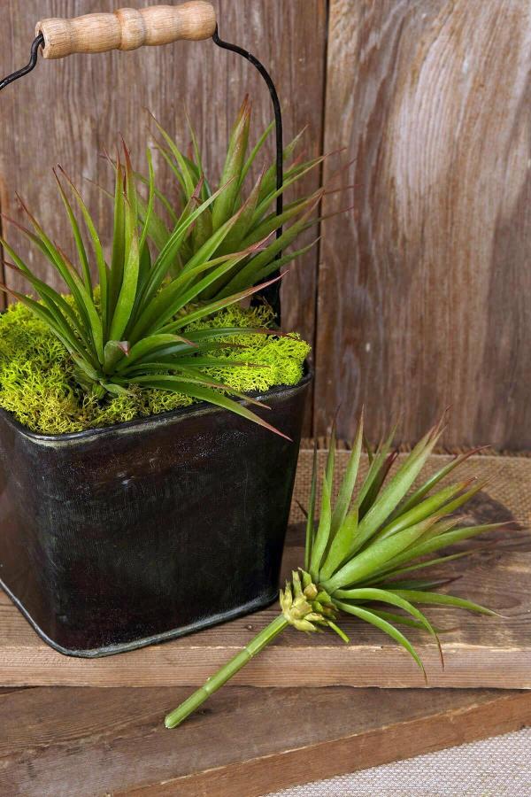 Succulents | Yucca Succulent Pick Green 7.5" Naturals & Florals Succulents