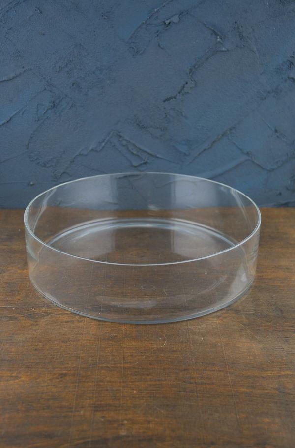 Terrarium | Clear Glass Round Terrarium Dish 3" X 12" Garden & Outdoor Terrarium