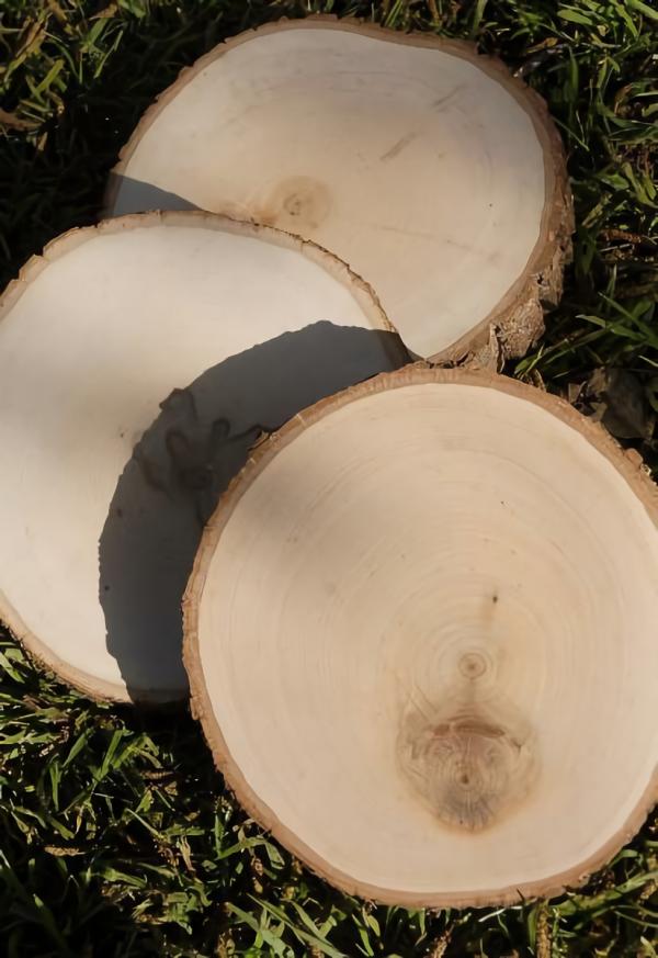 Tree Slabs | Basswood Slab With Bark 7"-9" Natural Naturals & Florals Tree Slabs