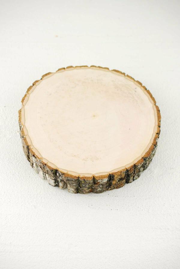 Tree Slabs | Basswood Tree Slice With Bark 8"-12" Natural Naturals & Florals Tree Slabs