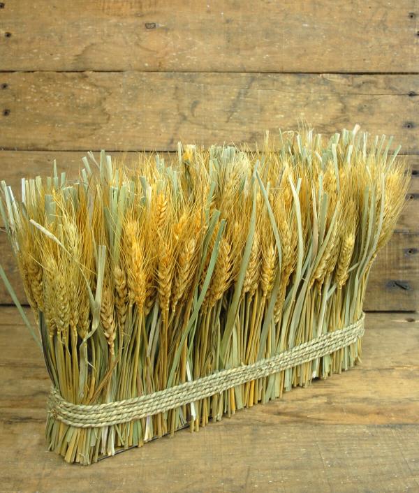 Wheat And Cotton | Natural Preserved Wheat Arrangement 10"X 15" Botanicals Wheat And Cotton