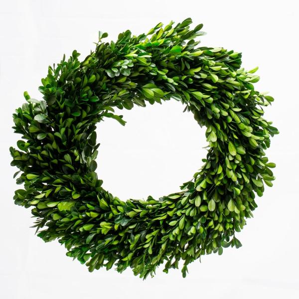 Wreaths | Preserved Boxwood Wreath 17" Set Of 6 Naturals & Florals Wreaths