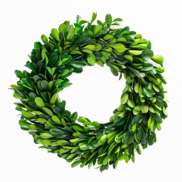 Wreaths | Preserved Boxwood Wreath 8" Set Of 12 Naturals & Florals Wreaths